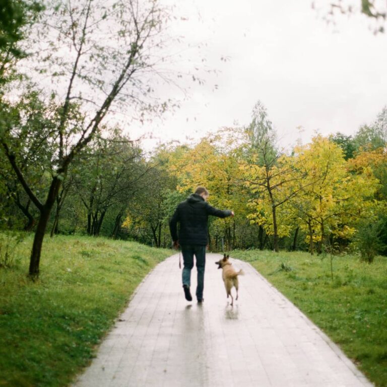 Man walking dog on a paved park path with fall trees in the background in Spring Hill, TN