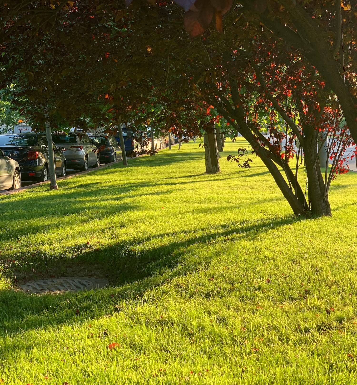 Corporate office yard
