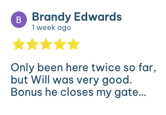 Screenshot of a 5-star review for Yard Patrol from Brandy Edwards highlighting great service and attention to detail.