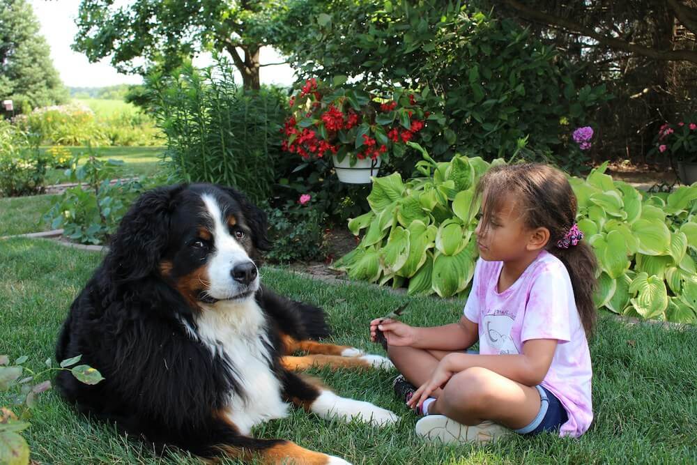 Mom and daughter playing with their dog in the backyard on a sunny day in Thompson’s Station