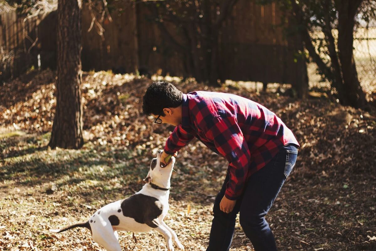 Man playing with his dog in a Columbia TN backyard covered in fall leaves